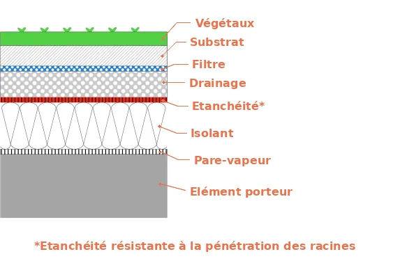 La toiture-terrasse végétalisée