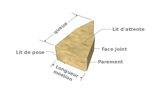 La terminologie